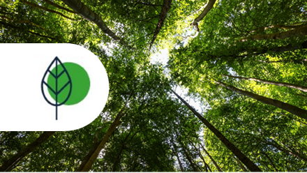 icon climate 8.png